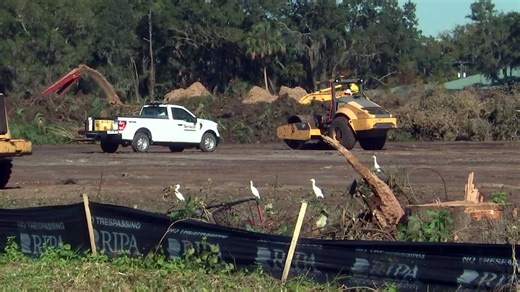 Experts outline benefits of landscaping with native Florida plants