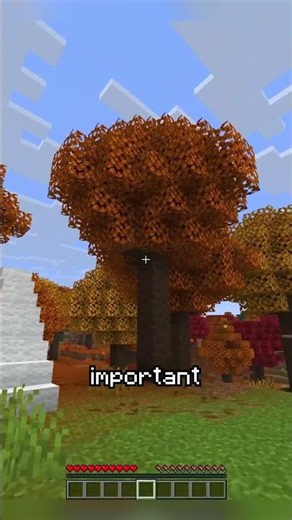 All The Incredible New Minecraft Features! (do you like them?) #Shorts #Minecraft #Tutorial