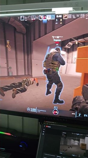 minhas live tem parceria 🐈