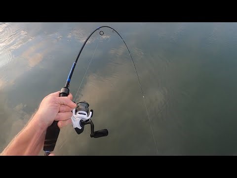 My Passion Is For Redfish Aransas Pass Port Aransas Rockport Tx Charter Guide