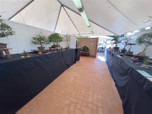 22 reactions | What a weekend! Our Annual Bonsai Show was a huge...