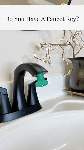 🌟𝗦𝘁𝗲𝗽𝗵𝗮𝗻𝗶𝗲 𝗕𝗼𝗼𝘁𝗵🌟Home Cleaning & Organization | Have you ever seen this strange little gadget hanging around your house? You may have even thrown a few away because you had no idea what... | Instagram