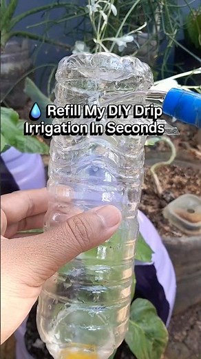 DIY Drip Irrigation Refill 💧 Easy Watering Hack for Healthy Plants #gardening