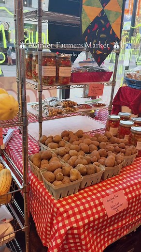 Winter Farmers Market in Waterloo: Cozy Indoor Vibes