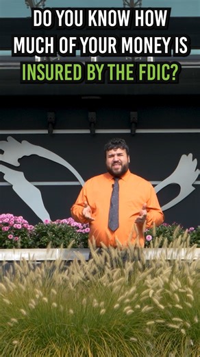 Are High-Yield Savings Accounts (HYSA) FDIC Insured at FNBA? #moneymanagement #hysa #savings