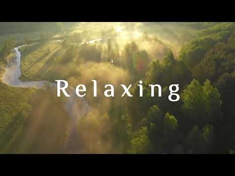 Relaxing Music for Driving | Soothing Sounds for Long Drives & Anxiety Relief