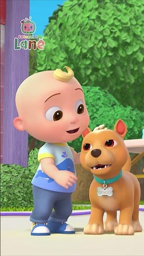 Do the Puppy Shake with Bingo! CoComelon Lane #shorts #netflix