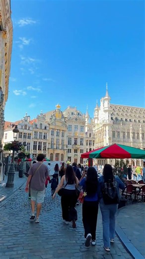 I Turned a Corner and Saw THIS 😲 | Grand Place, Brussels 🇧🇪 #shortsviral