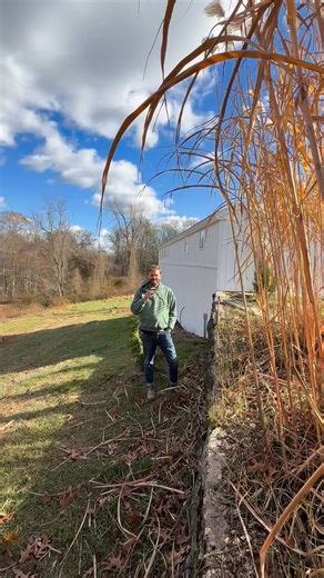 🚨 Congress just voted to ban my hemp products — and possibly our farm. This week, lawmakers passed a bill that changes the definition of hemp in a way that could make natural, non-intoxicating CBD products like ours federally illegal — even though they’re legal and safe in Rhode Island. We’re talking about: 🌿 CBD tinctures for focus 💤 Gummies that help you sleep 💪 Salves for pain and recovery All tested. All regulated. All sold to 21 adults. But under H.R. 5371, if they contain even a trace 