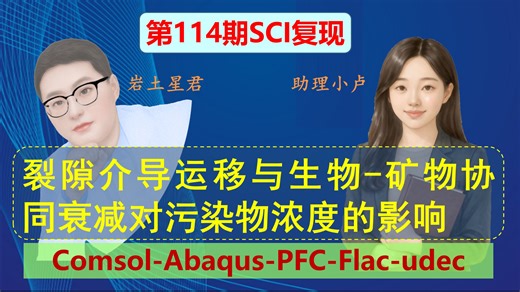 裂隙介导运移与生物-矿物协同衰减对污染物浓度的影响