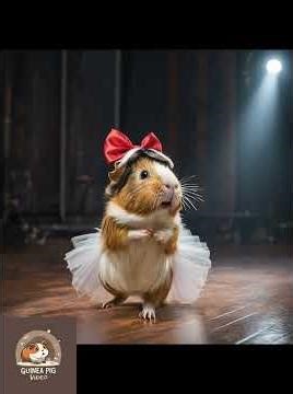 Guinea Pig Dancing Like Sia in Chandelier.