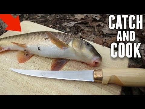 Catch and Cook - SUCKER FISH?! Do They Taste Good?