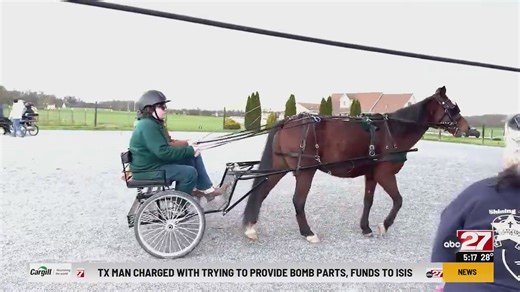 Therapeutic horse program expands in the Midstate