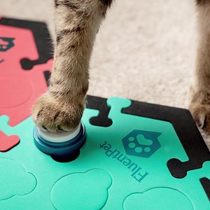 3.7K views · 28 reactions | Why FluentPet? Here's why our buttons, the original talking button system, are currently used in over 150K households worldwide. | FluentPet | Facebook