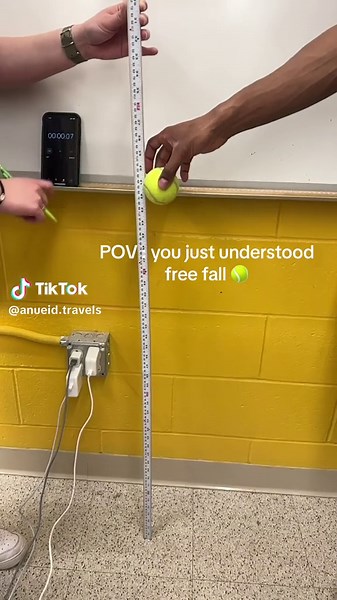 Understanding Free Fall: A Physics Perspective