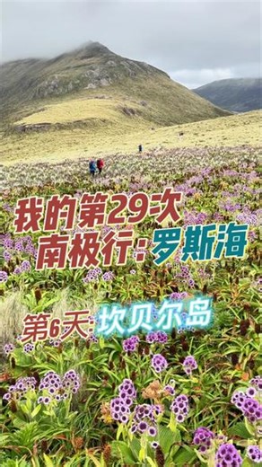 连续三天登陆了三个亚南极岛屿，惊喜连连，前往南极的途中并不无聊。#南极 #南极旅游 #南极旅行 #罗斯海 #极地客