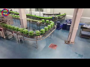 CONVEYOR SYSTEM | HIGH SPEED LINE | 800 BPM CSD PET | BEETA CONVEYORS |