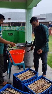 Farming Guide on Reels