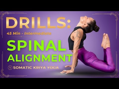 Spinal Alignment Yoga Drills Using a Stick | Fix Your Chaturanga & Standing Poses (45 Min)