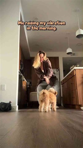 Barney the Pomapoo waits patiently during a funny moment
