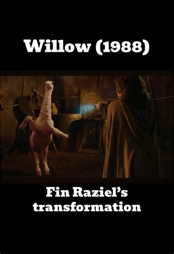 Transformación de Fin Raziel en Willow (1988)