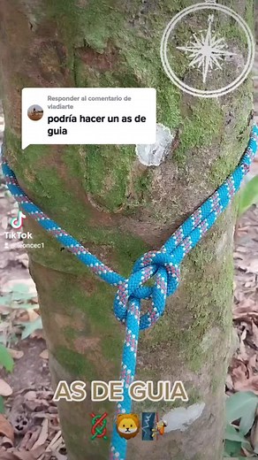 Rope Tying Tutorial: Securing Ropes to Trees
