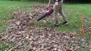Time-Saving Leaf Removal Tips