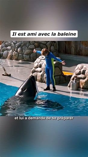 630K views · 26K reactions | Il est ami avec la baleine #movie #film #france #fyp #fantasy | Movie Review Collection | Facebook