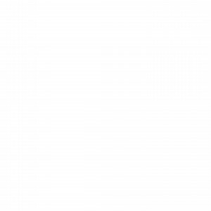 Bugs Clipart, Insects Clipart, Butterfly Clipart, Animal Clipart, Insect Bundle Svg, Bugs Svg, Ladybug Svg, Spring, Download SVG and PNG - Etsy