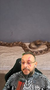 768K views · 10K reactions | Surucucu pico de jaca ou cobra olho de...