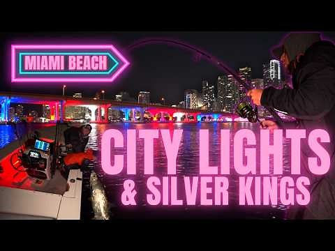 150lb Tarpon Under the Miami Skyline | Night Fishing on Artificials