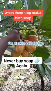 9K views · 5.4K reactions | Nature soap 識 for skin infections | Shar Kamal | Facebook