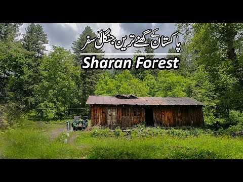 Sharan Forest Tour Plan | Naran Kaghan Trip | Camping in Pakistan
