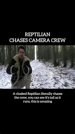 Creepy Encounters: Reptilians, Trickster Demons, and Werewolves Roaming the Streets