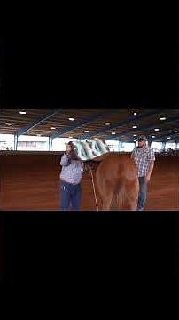 A good saddle pad is not just about thickness. \n\nIt is about protecting the spine, helping the saddl