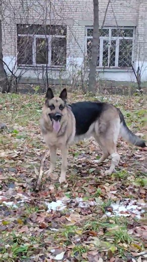 25 января 2026 г.