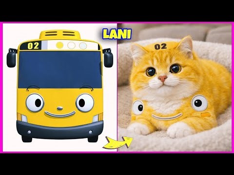 Tayo The Little Bus Characters As Cats 🚌 🐈 Rogi, Tayo, Gani...