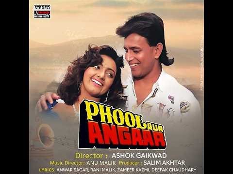 {Stereo} Hum Teri Mohabbat Mein - Sadhna Sargam, Kumar Sanu - Anu Malik (Phool Aur Angaar, 1991)