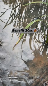 Benefit 20sc lang katapat. | Farm Payaman 1.0