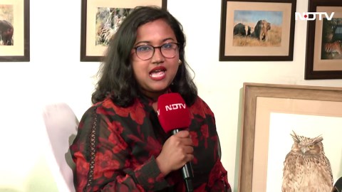 Earth Hour 2025 | WWF India CEO on Wildlife, River Health & Climate Action | NDTV Exclusive