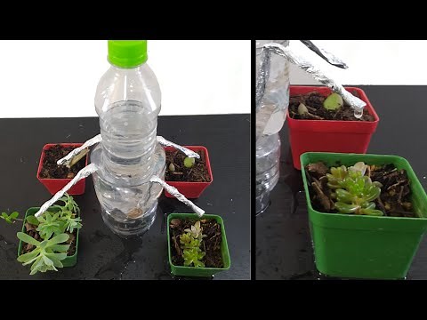 Simple Sistema De Riego Automático Por Goteo / Hasta Por 30 Días /muy fácil /