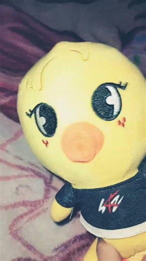 lo que tengo de stk #fypシ゚viral #viral #edit #straykids