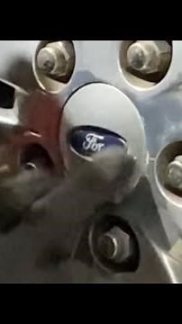 Ford Explorer Steering Problem.