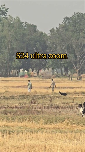 Samsung galaxy s25 ultra 20x zoom test 😱 #S25Ultra#ZoomTest#viralvideo #shorts#s24ultra #zooming