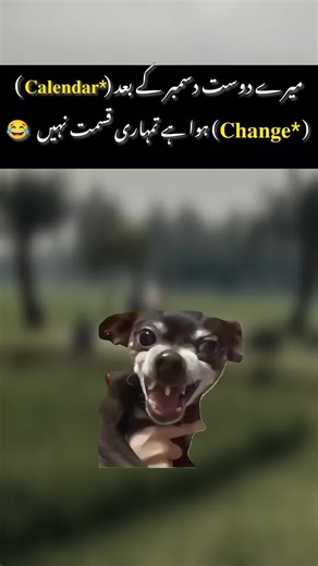 Explore the Funniest Tom Memes Collection