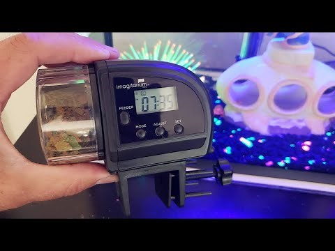 IMAGITARIUM Automatic Fish Feeder SETUP