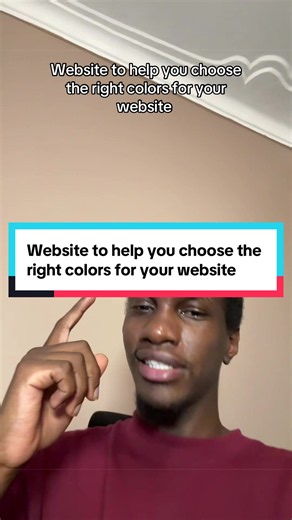 Website to help you choose the right colors for your website #tech #website #ai #design #kenyantiktok🇰🇪