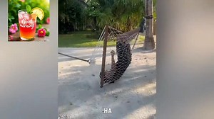 Best Epic failed 2殺殺螺拾#fails #fail #funny #funnyfails #funnyvideos #memes #failarmy #funnymemes #failvideo #meme #epicfail #funnyfail #lol #bestfails #failure #failsvids #comedy #day #video #failvideos #viral #fun #laugh #humor #dankmemes #epicfails #hilarious #gymfails #failfriday #memesdaily Part 6 | Rajesh Verma | Facebook