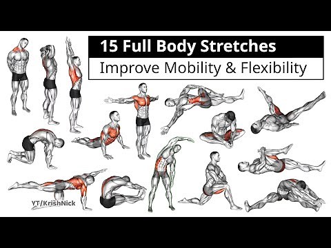 15 Full Body Stretches To Improve Mobility & Flexibility