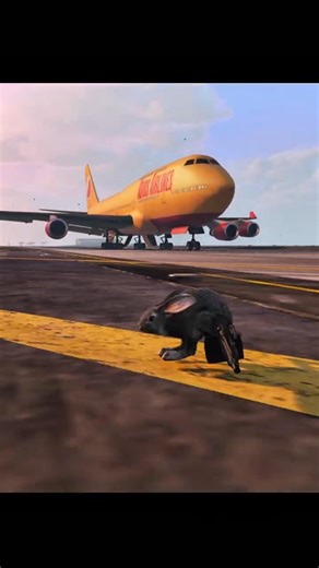 During The Landing of The Plane, A Rabbit Emerged | Grand Theft Auto V ||